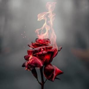 Meet your Posher, Malissa